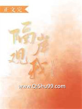 隔岸观我小说