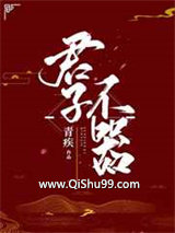君子不器小说