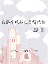 我是个总裁我莫得感情小说