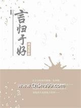 言归于好小说