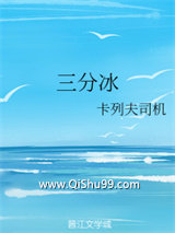 三分冰小说
