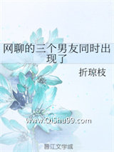 网聊的三个男友同时出现了小说
