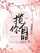 揽你自照小说