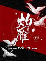 灼雁ABO小说