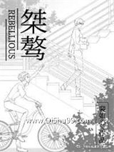 桀骜小说