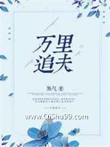 万里追夫小说