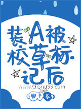 装A后我被校草标记了小说
