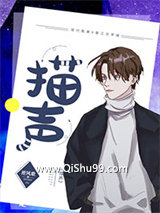 描声小说