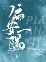 偏安一隅小说