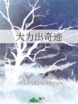 大力出奇迹小说