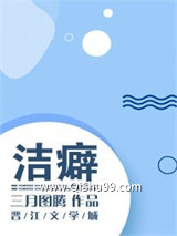 洁癖小说