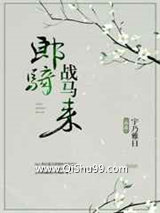 郎骑战马来小说