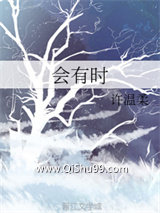 会有时小说