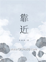 靠近小说