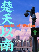 楚天以南小说