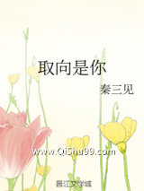 取向是你小说
