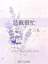 总裁很忙小说