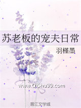 苏老板的宠夫日常小说