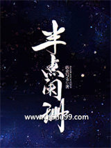半点阑珊小说