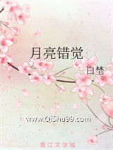 月亮错觉小说