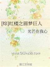 [综]红楼之圆梦巨人小说