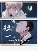 独一小说