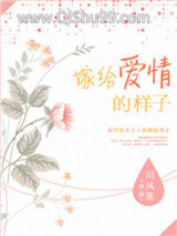 嫁给爱情的样子小说
