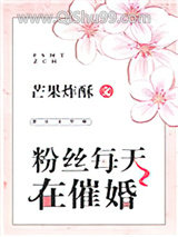 粉丝每天在催婚小说