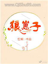 狼崽子小说