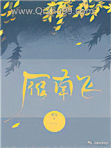 雁南飞小说