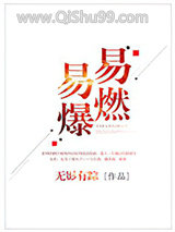 易燃易爆小说