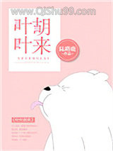 叶叶胡来小说