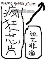 疯狂芯片小说
