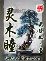 灵木瞳小说