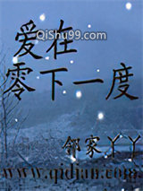 零下一度小说