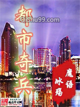 都市奇兵小说