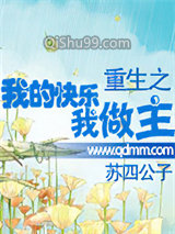 重生之我的快乐我做主小说
