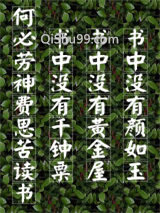 网络重生小说
