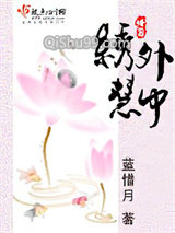 绣外慧中小说