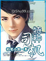 特种司机小说