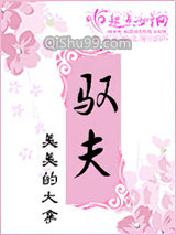 驭夫小说