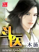 斗医小说