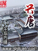 兴唐小说
