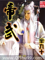 帝武小说