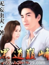 黑道颠峰小说