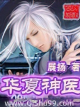 华夏神医小说