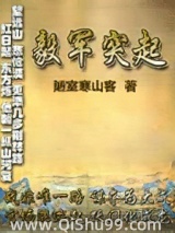 毅军突起小说
