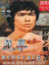 龙拳小说