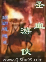 圣血游侠小说