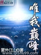 唯我巅峰小说
